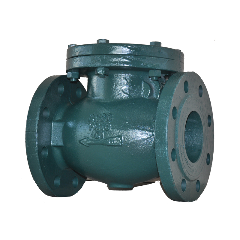 Flange Type Swing Check Valve - DIN Standard