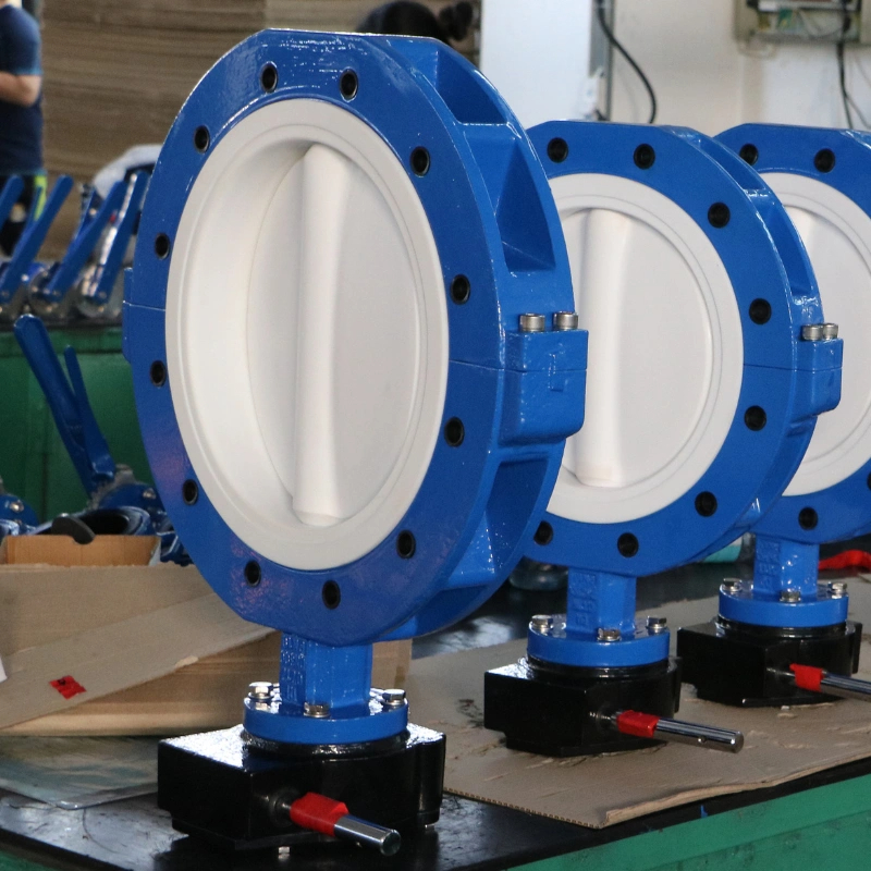 PTFE Lined Butterfly Valve